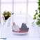 AG498B MOSQUITO NET FOOD COVER image 2