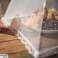 AG498B MOSQUITO NET FOOD COVER image 3