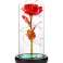 AG776 ETERNAL ROSE IN GLASS - LED image 1