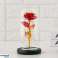 AG776 ETERNAL ROSE IN GLASS - LED image 3