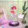 AG776 ETERNAL ROSE IN GLASS - LED image 4