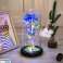 AG776B ROSA ETERNA EM AZUL DE VIDRO LED foto 4
