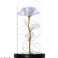 AG776C ETERNA ROSA EM VIDRO LED BRANCO foto 1