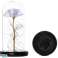 AG776C ETERNA ROSA EM VIDRO LED BRANCO foto 2