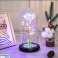 AG776C ETERNA ROSA EM VIDRO LED BRANCO foto 4
