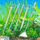 AG85G AQUARIUM WERKZEUGSET 5PCS Bild 5