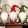 BQ67 JULTOMTEN TOMTE DVÄRG 44x13 bild 5