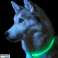 DA269 GLOEIENDE LED HALSBAND REG. GROEN foto 3