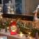 DA320 KERST LED LANTAARN foto 3