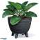 Furu planter anthracite avg. 236 mm image 2