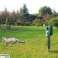 OD6A ANIMAL REPELLER 7IN1 image 5
