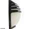 ZD31A LED LAMP GARDEN SCONCE image 2