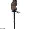 ZD50I SOLAR LED LAMP OWL BROWN image 1