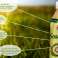 Fruchtsaft SOURSOP Bild 1