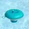 Schwimmer für Poolchemikalien Bestway 58210 Bild 1