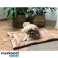 OSI 00024594 Lit pour chien Purlov 24594 photo 5