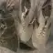 MULTI BRAND Shoe Mix For Men And Women image 2
