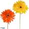 Kunstbloem Gerbera 76 cm 4 assorti kleur oranje, roze, wit/geel, en geel foto 2