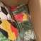 Lot of 217 pcs – BUFF Neck Tubes / Coolnets – German Flag Design – New Stock image 1