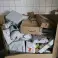 NPAI DHL Verloren pakketten, Mystery Boxes, Niet-opgeëiste pakketten, Retourzendingen foto 2