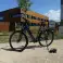 Ausverkauf Elektrofahrrad VAE GIANT DailyTour E+ 1 BD LDS YAMAHA EXPORT Bild 1