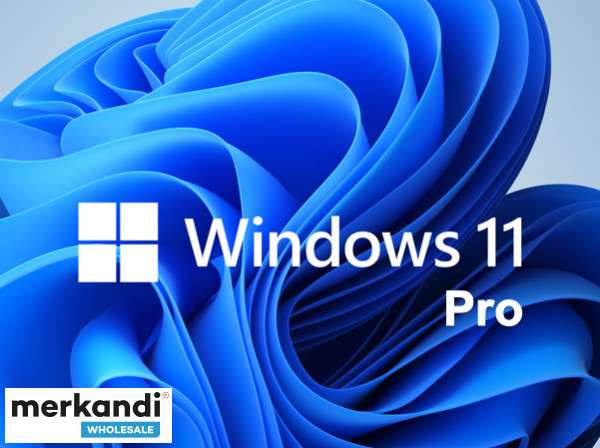 Microsoft Windows 11 Pro Professionnel 64 bits Version complète