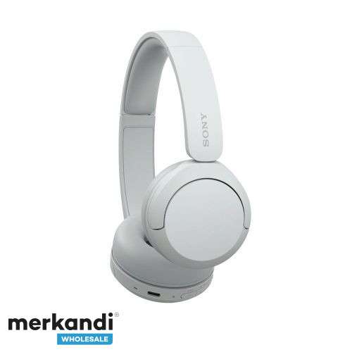 Sony WH-CH520 Wireless Bluetooth On-Ear Headphones
